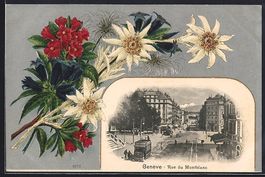 Genéve, Flusspartie, Edelweiss und Alpe