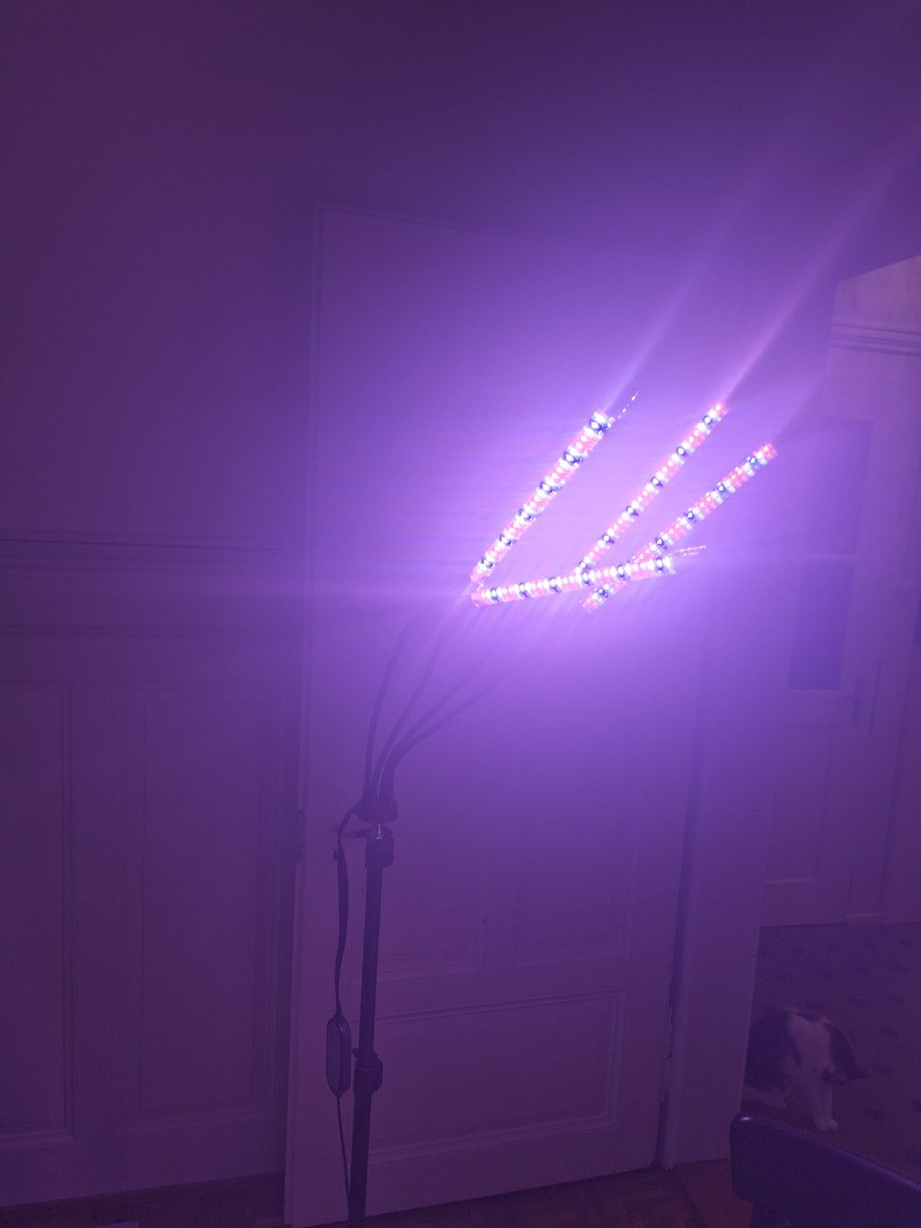 Lampade: Pflanzenlampe LED mit Ständer und Timer 2 Stk – Usato da Wald ZH venduto da _Hotarubi_ 1