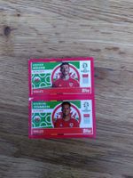 🤩 WAL 14 / WAL 15  - Topps Euro 2024 Sticker