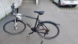 Herrenvelo