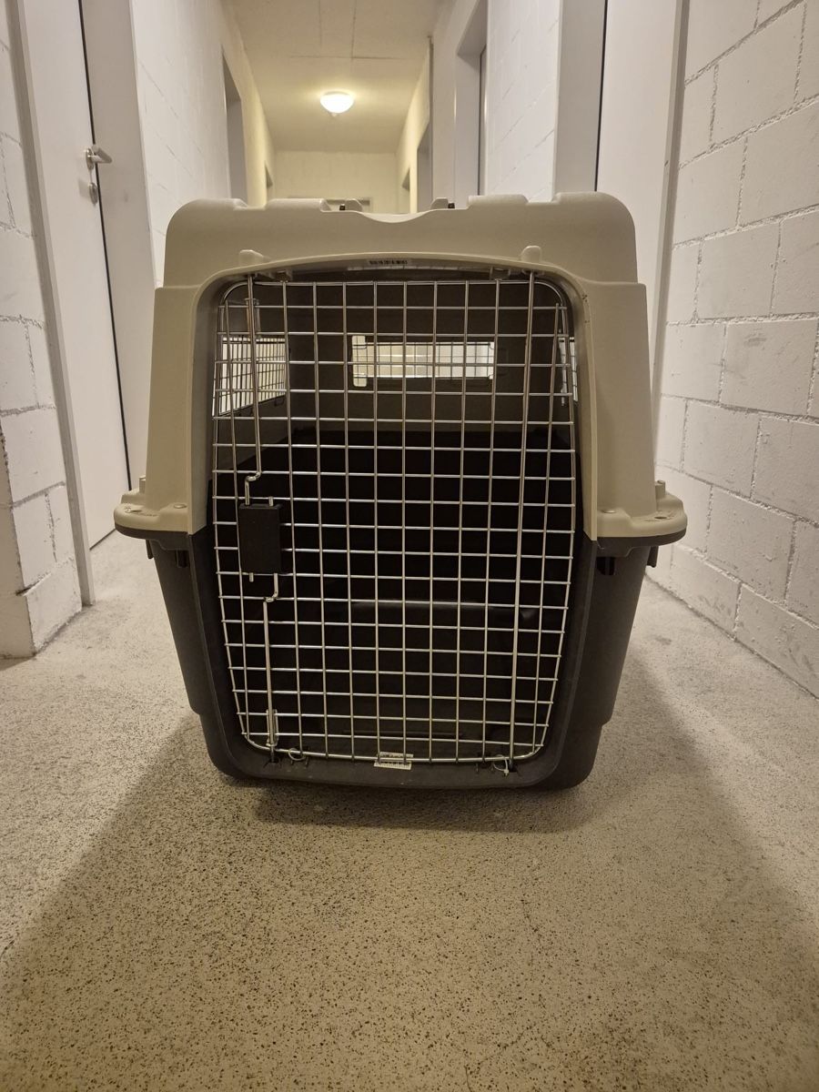 Liege- & Schlafplätze: Hundebox Transportbox Top Zustand! – Neu (gemäss Beschreibung) aus Reichenburg von Benutzer123_ 6
