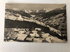 Pany mit Schnee 1920