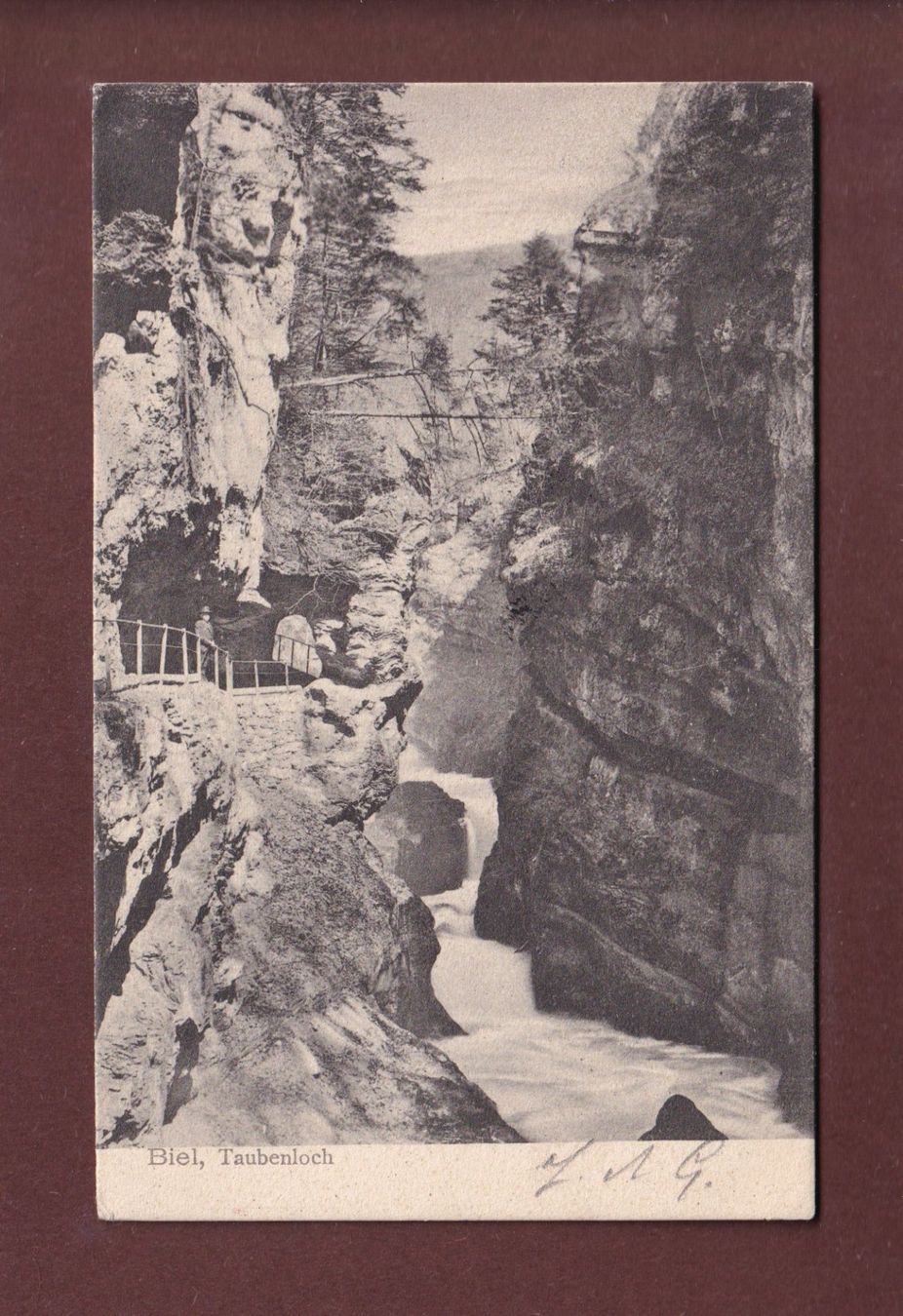 Cartoline postali: BIEL - Taubenloch - 1906 – Usato da Pully venduto da nicecards