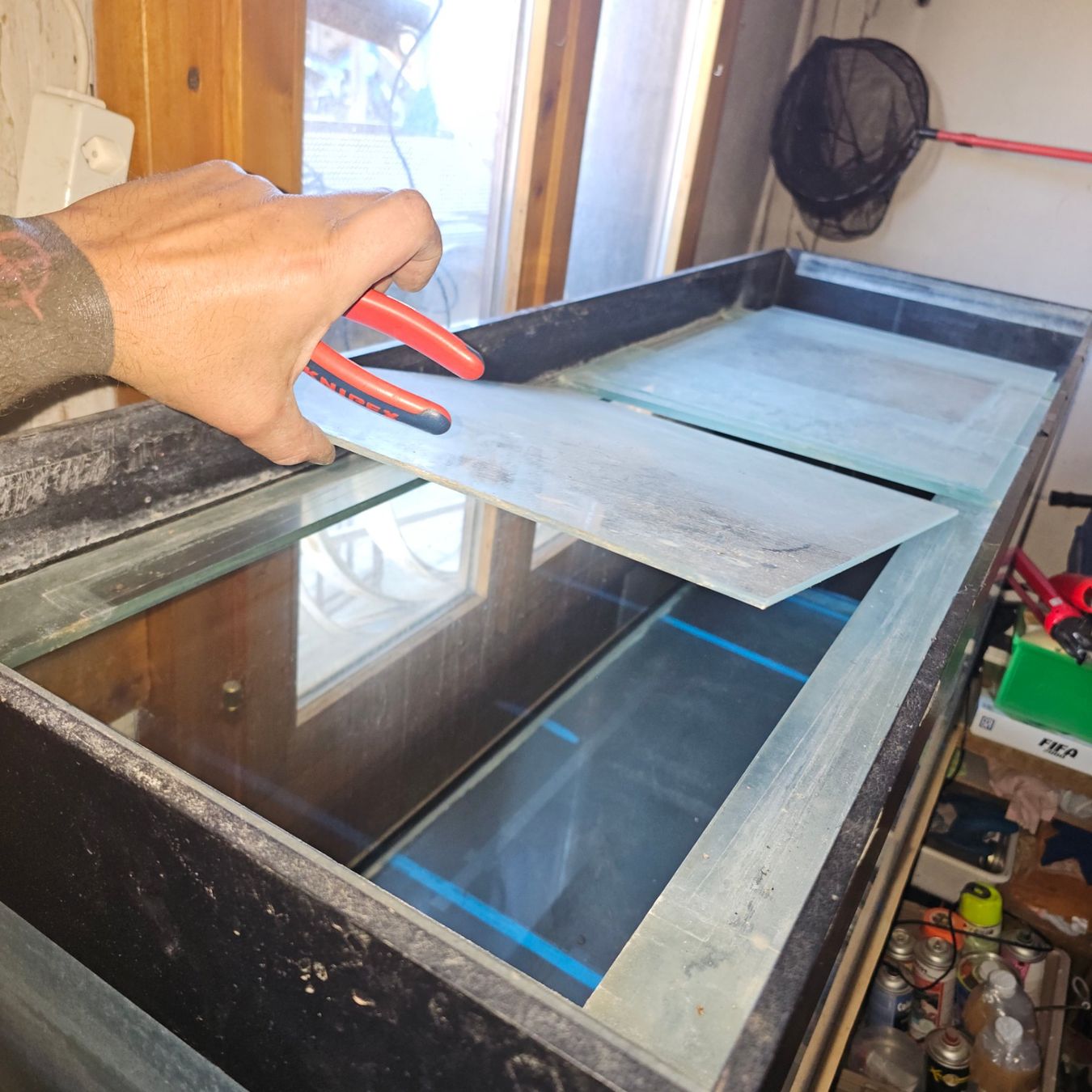 Acquari: Aquarium. !!!! Ab 1Fr !!!! – Usato da Büren an der Aare venduto da Flipperfinger88 3