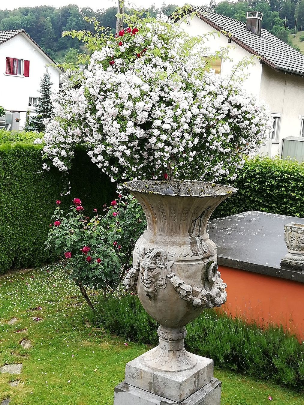 Vasi & Recipienti: Amphore riesig mit Sockel einmalig und schwer. 221cm. – Usato da Suhr venduto da sbblok 5