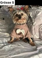 Hunde Bekleidung 