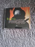 BUSTA RHYMES   TURN IT UP  FIRE IT UP    CD SINGLE
