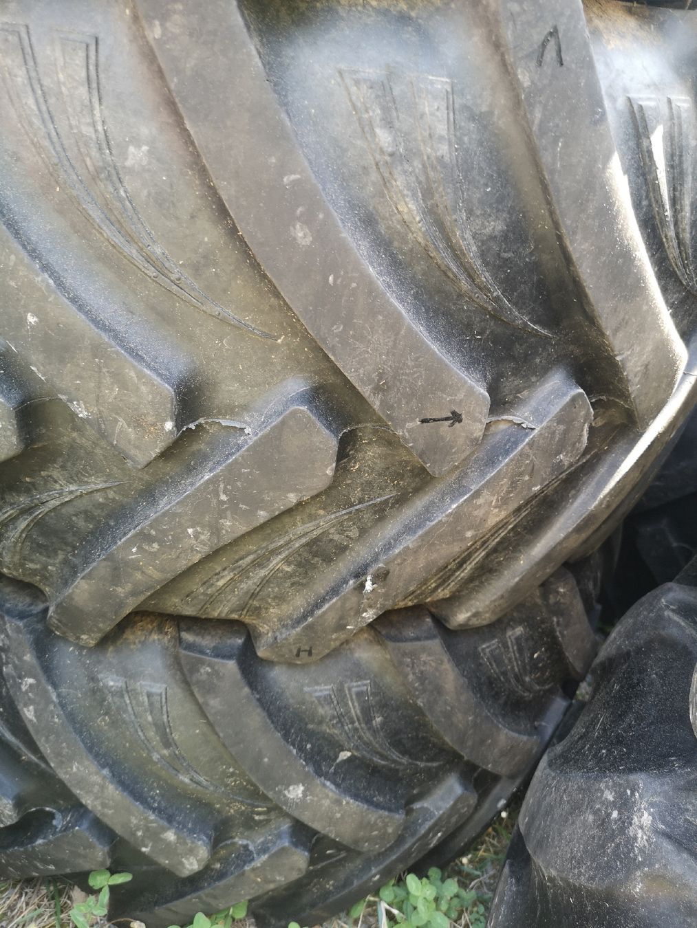 Trattori: BKt 425/55R17 Reifen – Usato da Unterseen venduto da 34unterseen34 2