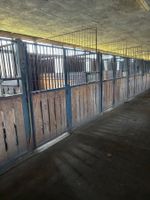 Pferdeboxen Stall