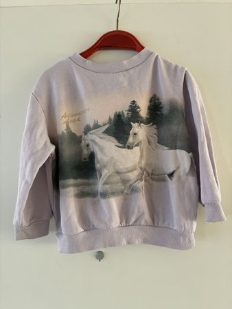 Pullover Gr. 98/104, H&M