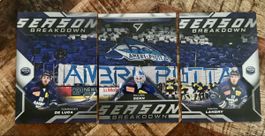SportZoo Season Breakdown HC Ambri Piotta 