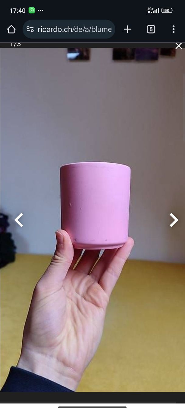 Maisons du monde Vasi per fiori: Blumentöpfe, Deko, Hängetöpfe, Übertöpfe, Sommer – Nuovo (secondo la descrizione) da Brüttisellen venduto da nic_xm7s 3
