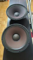 Electro Voice 15 Zoll Bass Lautsprecher 