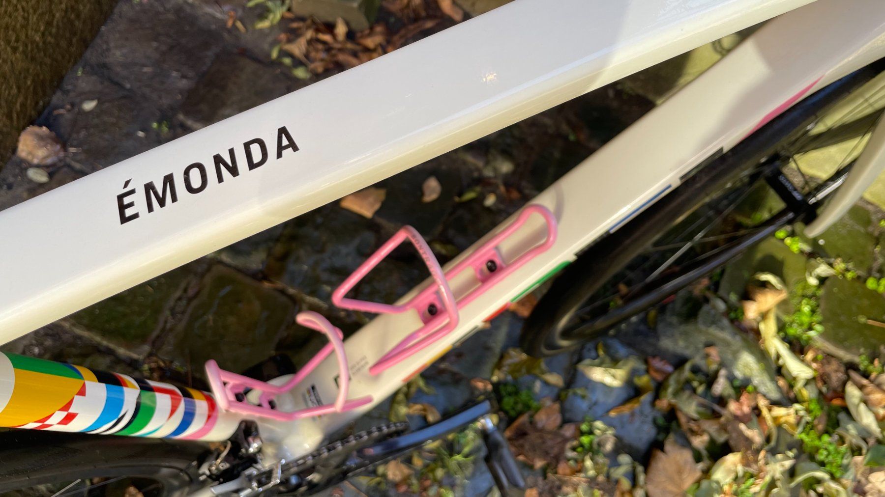 Trek Velos: Trek Émonda ALR Palmarés Edition – Gebraucht aus St.Gallen von andioer123 8