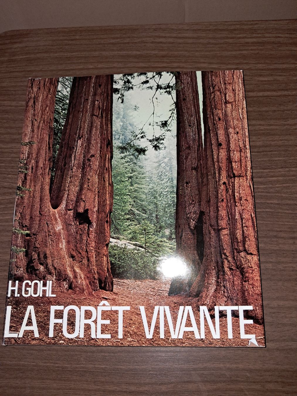 Libri: Heinrich Gohl la Foret vivante – Usato da Le locle venduto da juliensaran