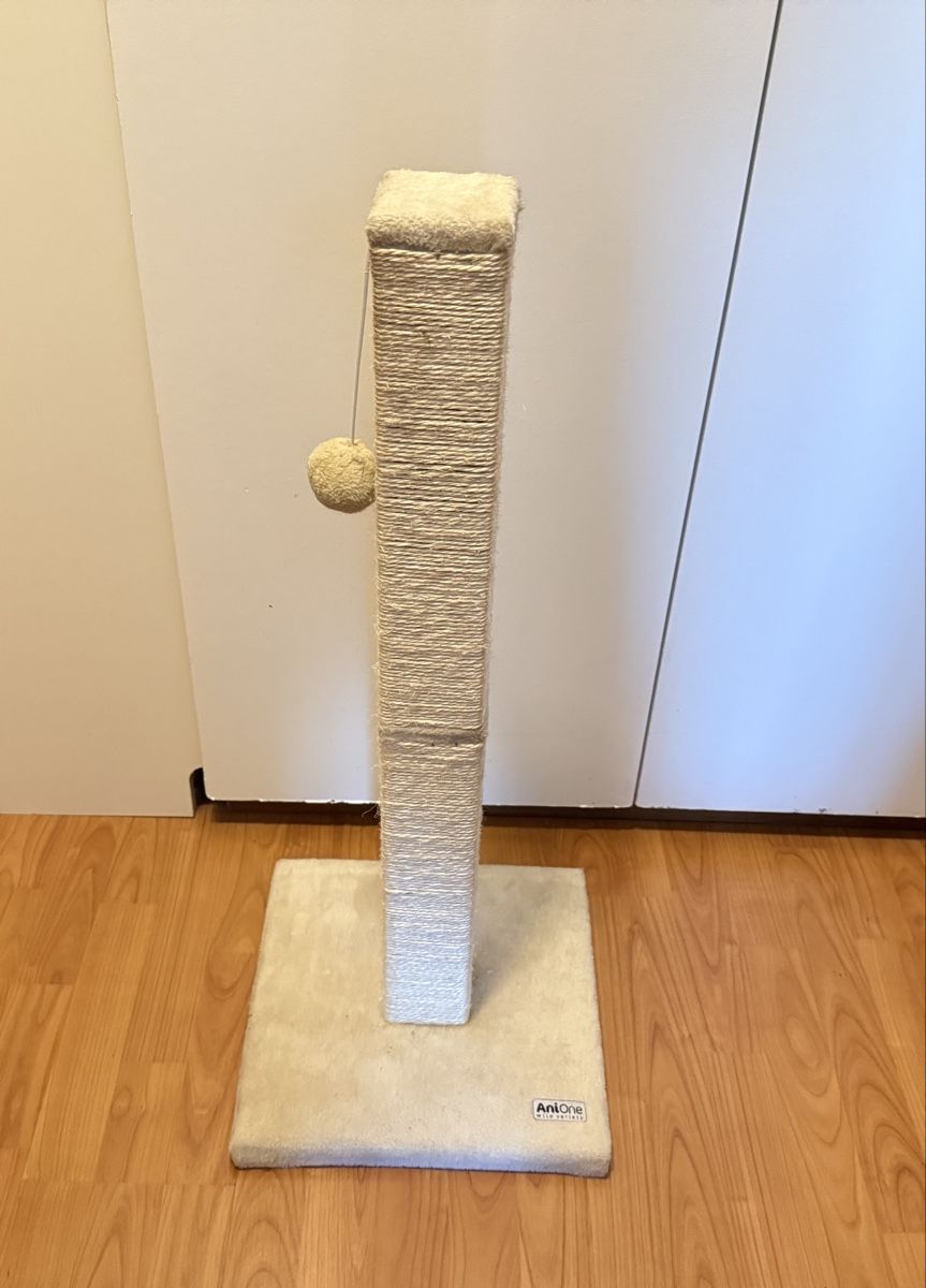 Tiragraffi: Kratzbaum Kratzsäule – Nuovo (secondo la descrizione) da Gerlafingen venduto da sternrose
