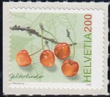 1207.1.** Ab. Verstanzung, stark