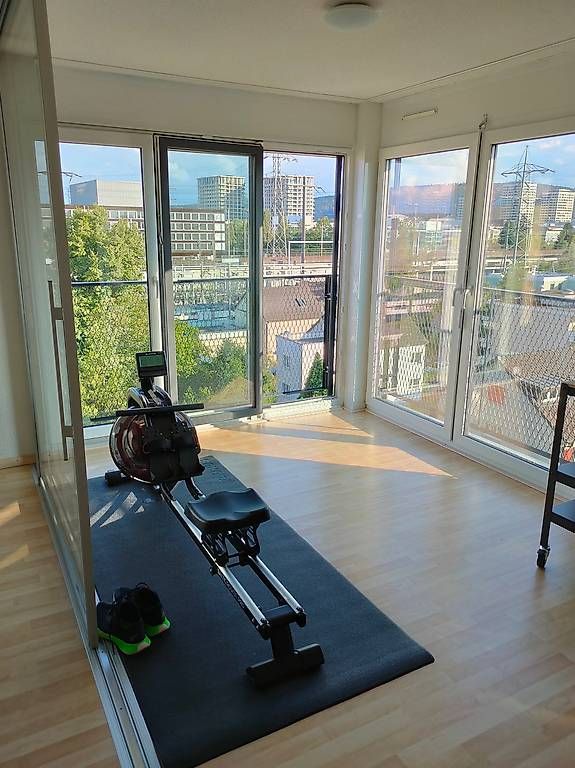 Hometrainer: Rudergerät (Rowing machine Baltic Rower Pro) – Usato da Dübendorf venduto da vskrin 1