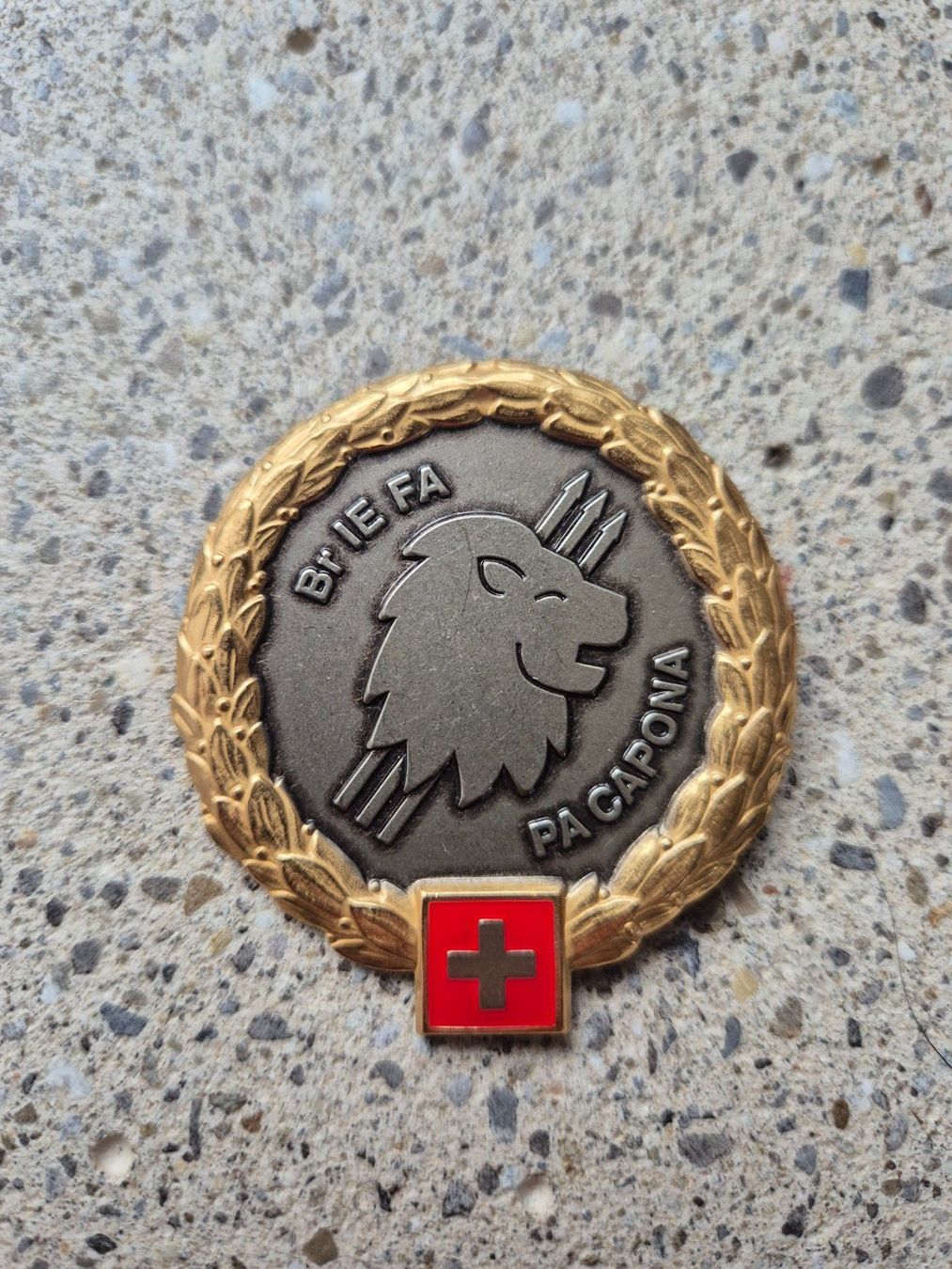 Schweizer Armee Placchette & Badge: *** Beretemblem Luftwaffe PA Capona *** – Nuovo (secondo la descrizione) da Riedholz venduto da fr_sIruP