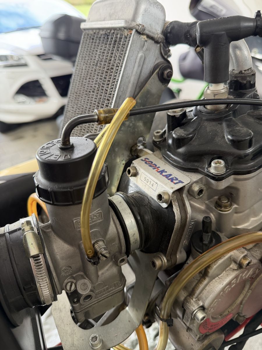 Rotax Go-Kart: Rennkart – Usato da Waltenschwil venduto da Almilu 5