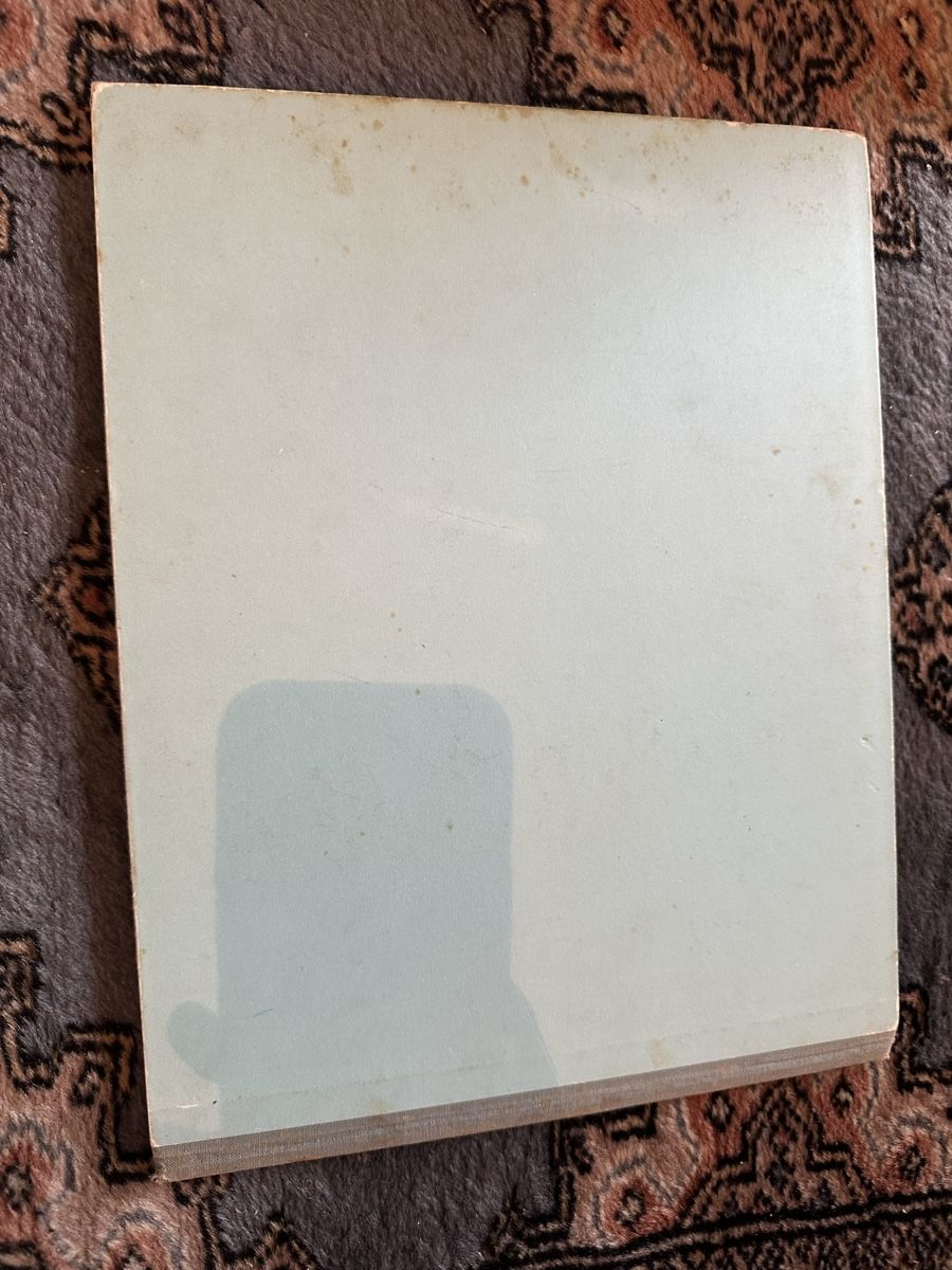 Libri: Flurina und wildvöglein – Usato da Uster venduto da bek_v2ct 9