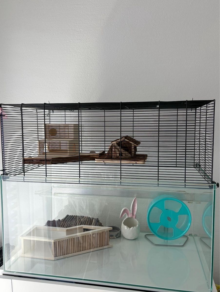 Gabbie, trasporto & Sicurezza: Hamsterkäfig aus Glas – Usato da Schindellegi venduto da Stesell