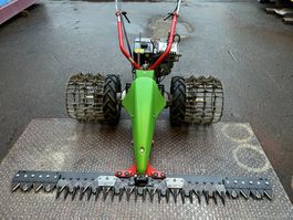 Rapid Rex Motormäher