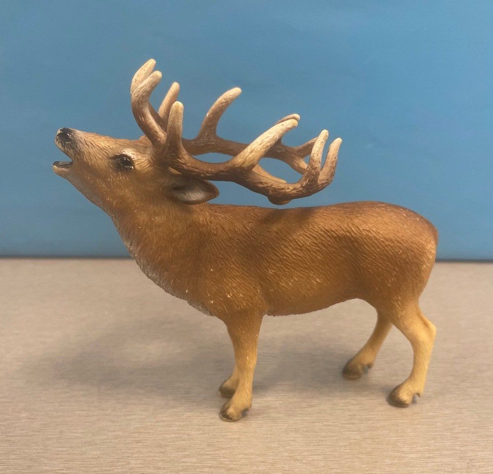 Schleich Spielzeuge: Schleich Hirsch – Gebraucht aus Sirnach von sagrotin