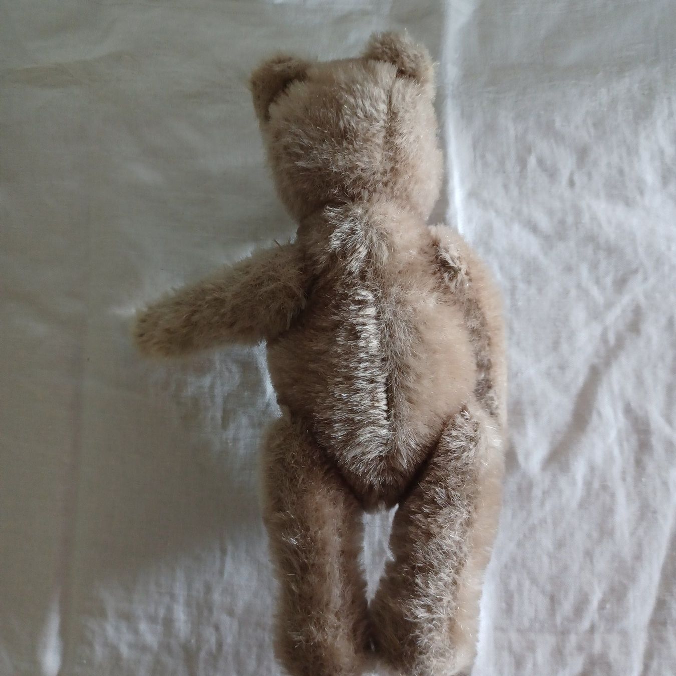 Steiff Giocattoli: Steiff Bär 21 cm gross um 1960 – Usato da Abtwil SG venduto da luupsy 2