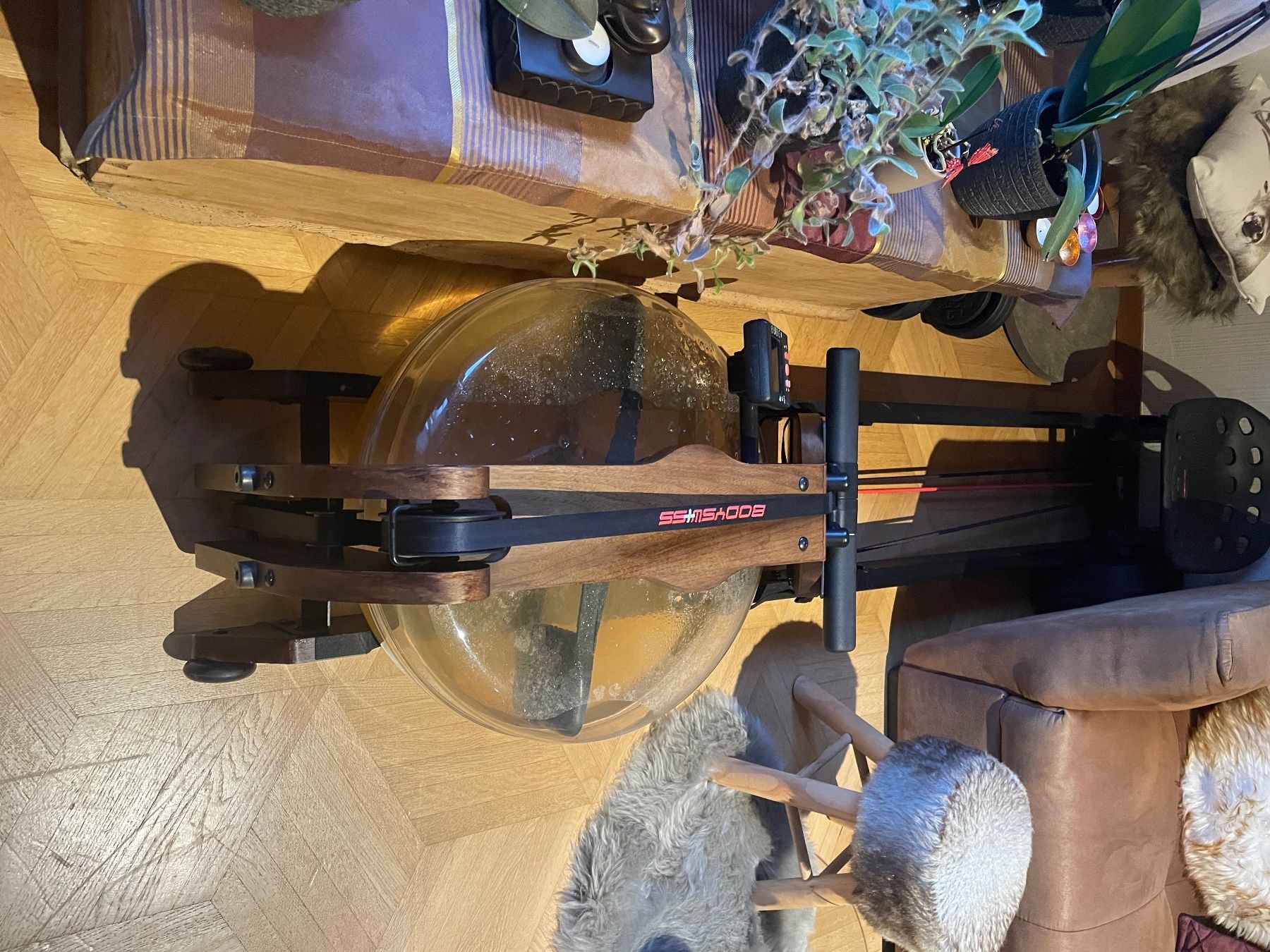 Bodyswiss Hometrainer: Rudergerät Bodyswiss – Usato da Trimmis venduto da tartarughi1