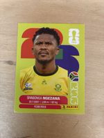 Panini RSA 8