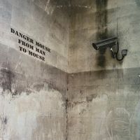 Danger Mouse – From Man To Mouse (2LP)