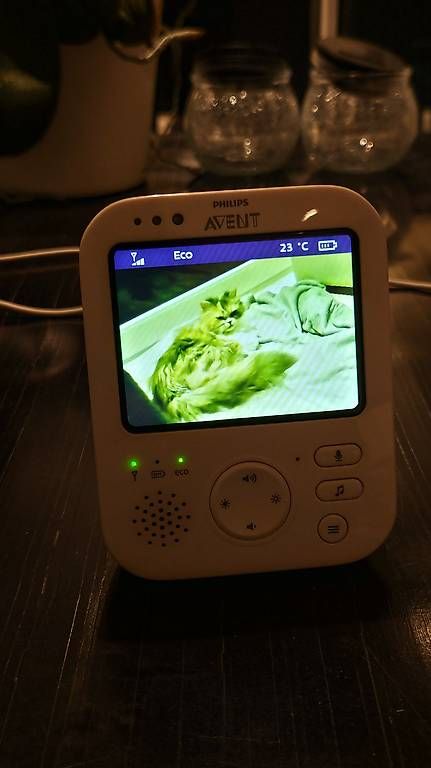 Babyphone: Philips Avent Babymonitor – Usato da Oberwil-Lieli venduto da owiedemeijer 2