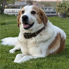 Profile image of Tonimarroni99