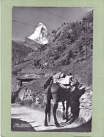 Zermatt Matterhorn  le ravitraillement