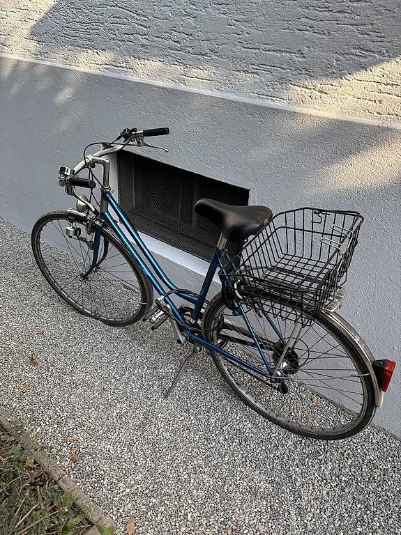Cresta Biciclette: CRESTA Velo – Usato da Zürich venduto da eko_dd7d