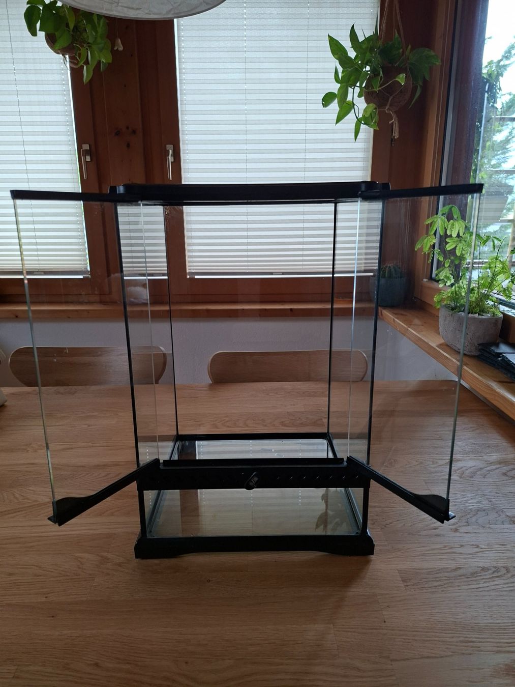 Exo terra Terrarium: Exo Terra Glaserrarium – Gebraucht aus Biel-Benken BL von Schnauztiger 1