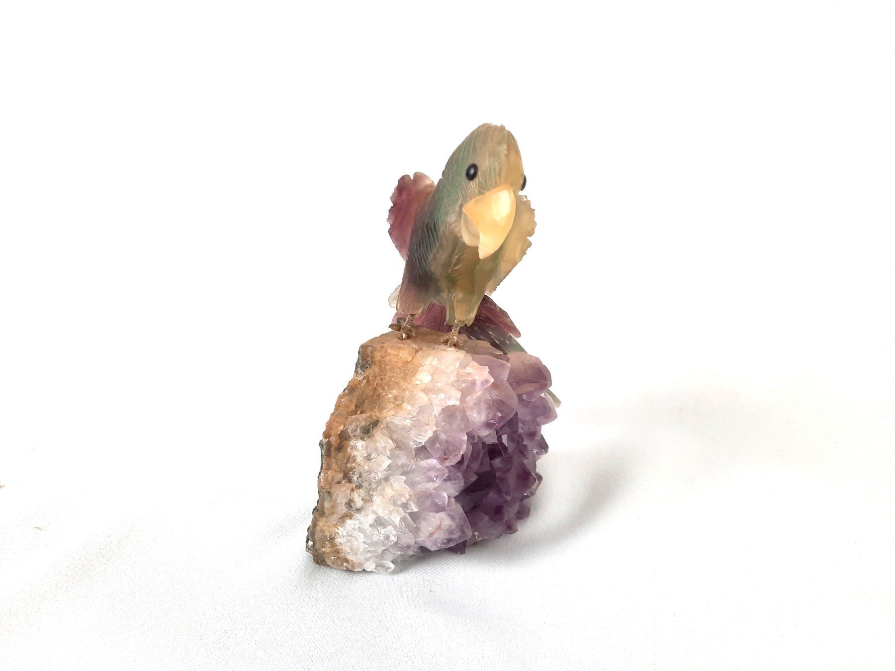 Minerali & Pietre curative: Papagei auf Amethyst-Cluster – Usato da Beinwil am See venduto da Restwert_Beinwil 5