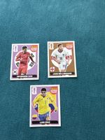 Extra Sticker Panini