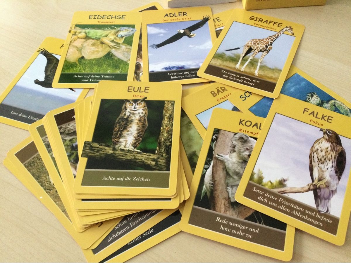 Giochi: Karten Krafttier neu – Usato da Villnachern venduto da Anita2006 1