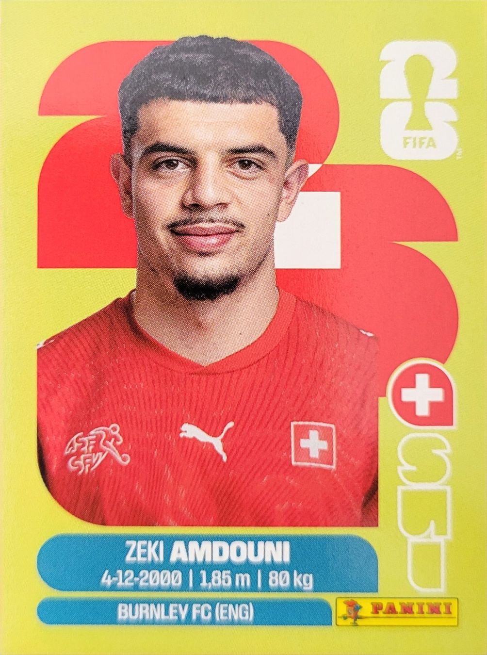 Panini Sammelbilder & Trading cards: Panini FIFA World Cup SUI 20 – Neu (gemäss Beschreibung) aus Wallisellen von never_give_up