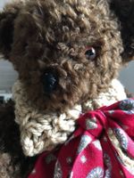 Brauner Teddy-Bär