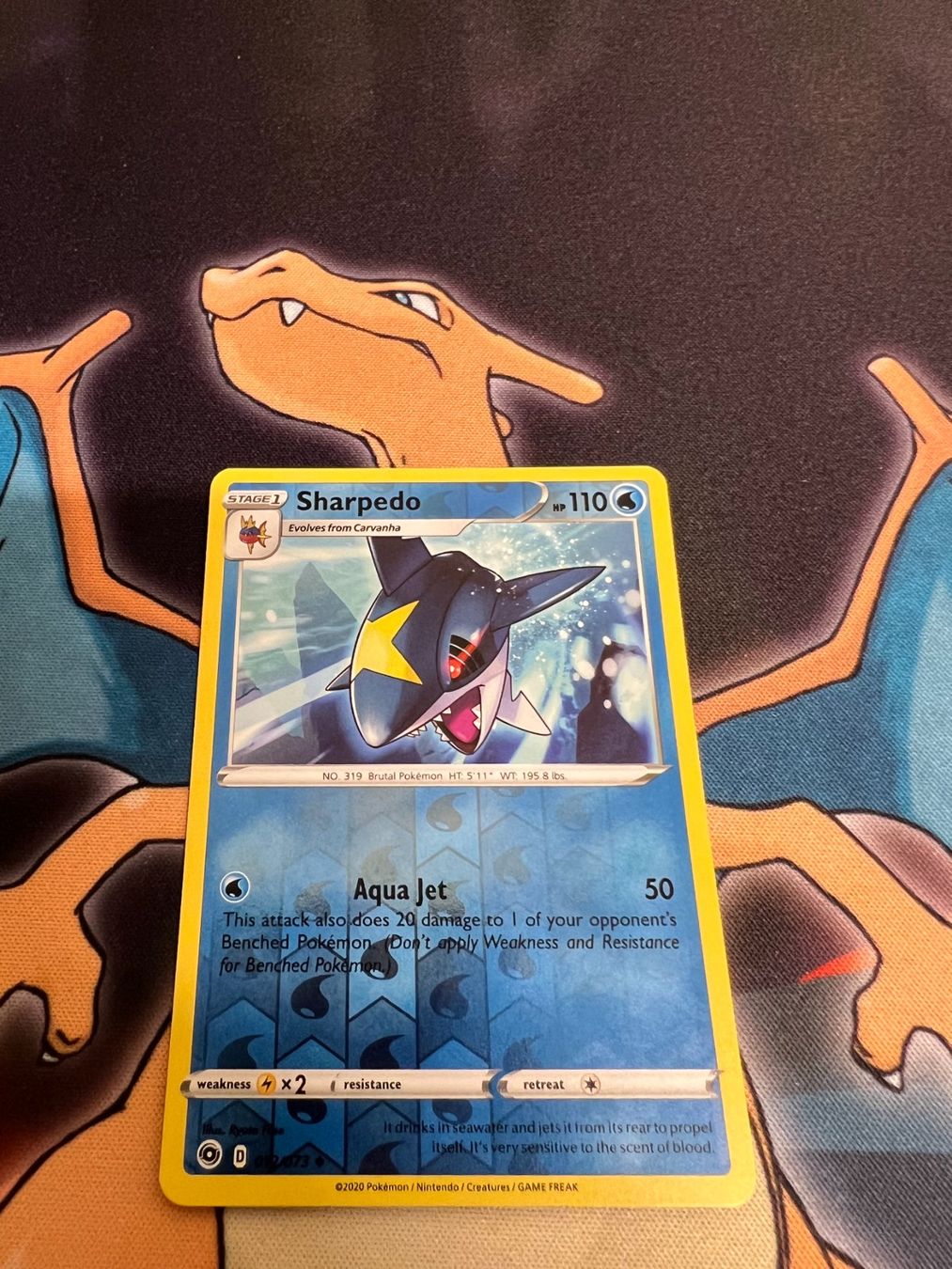 Pokémon Carte collezionabili: Sharpedo (CPA 12) - Reverse Holo - Champion's Path – Nuovo (secondo la descrizione) da Bülach venduto da Pfrenzel