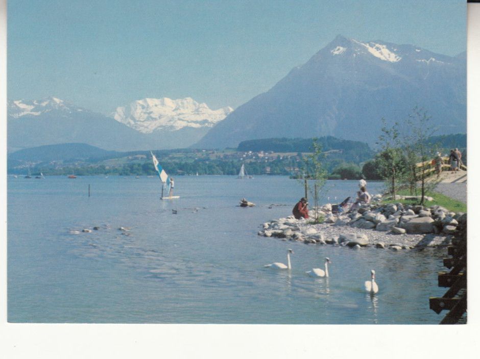 Cartoline postali: Thunersee Strandweg 1990 – Nuovo (secondo la descrizione) da Bürglen TG venduto da StampGraf