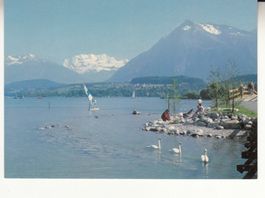 Thunersee Strandweg 1990
