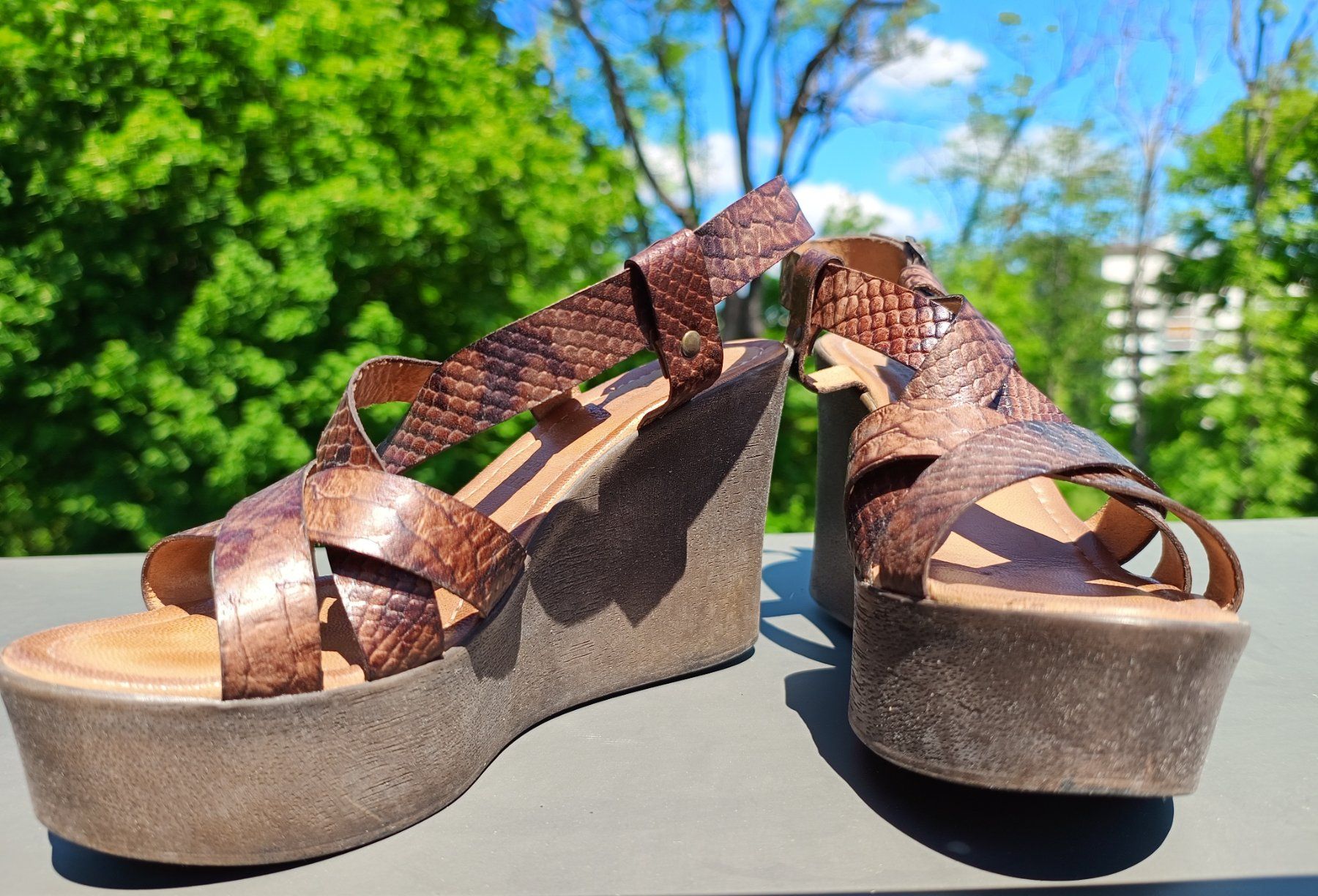 Damenschuhe: Sandales compensées Primadonna Collection en cuir T39 – Neu (gemäss Beschreibung) aus Genève von Brachiopode