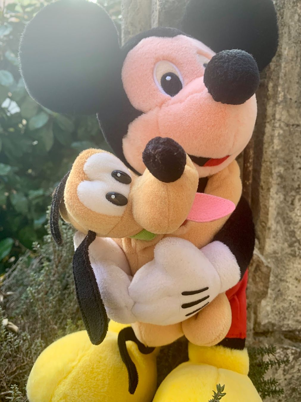 Disney Giocattoli: Peluche Mickey et Pluto dans ses bras – Usato da Martigny venduto da only__you 1