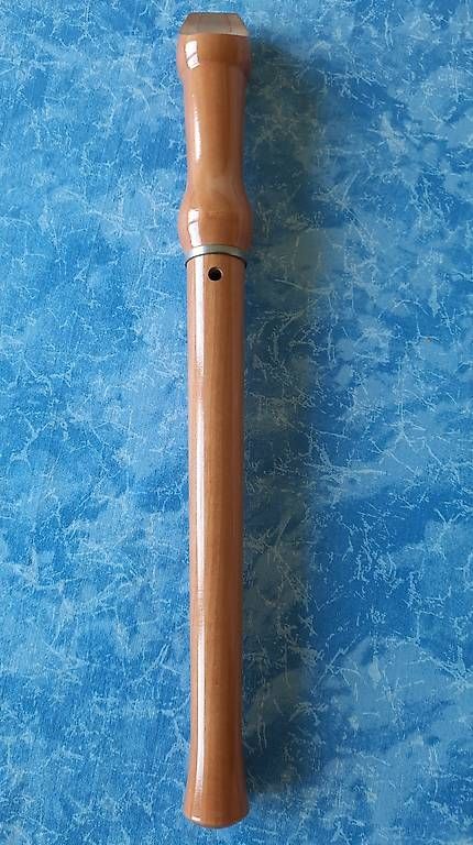 Strumenti musicali: Blockflöte – Usato da Schwerzenbach venduto da Baden03 2