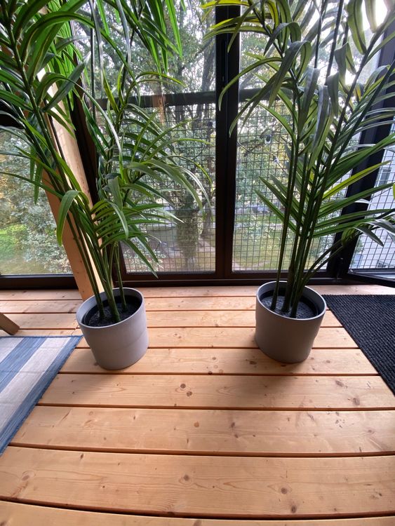 2 Ikea fake Palmen Kaufen auf Ricardo