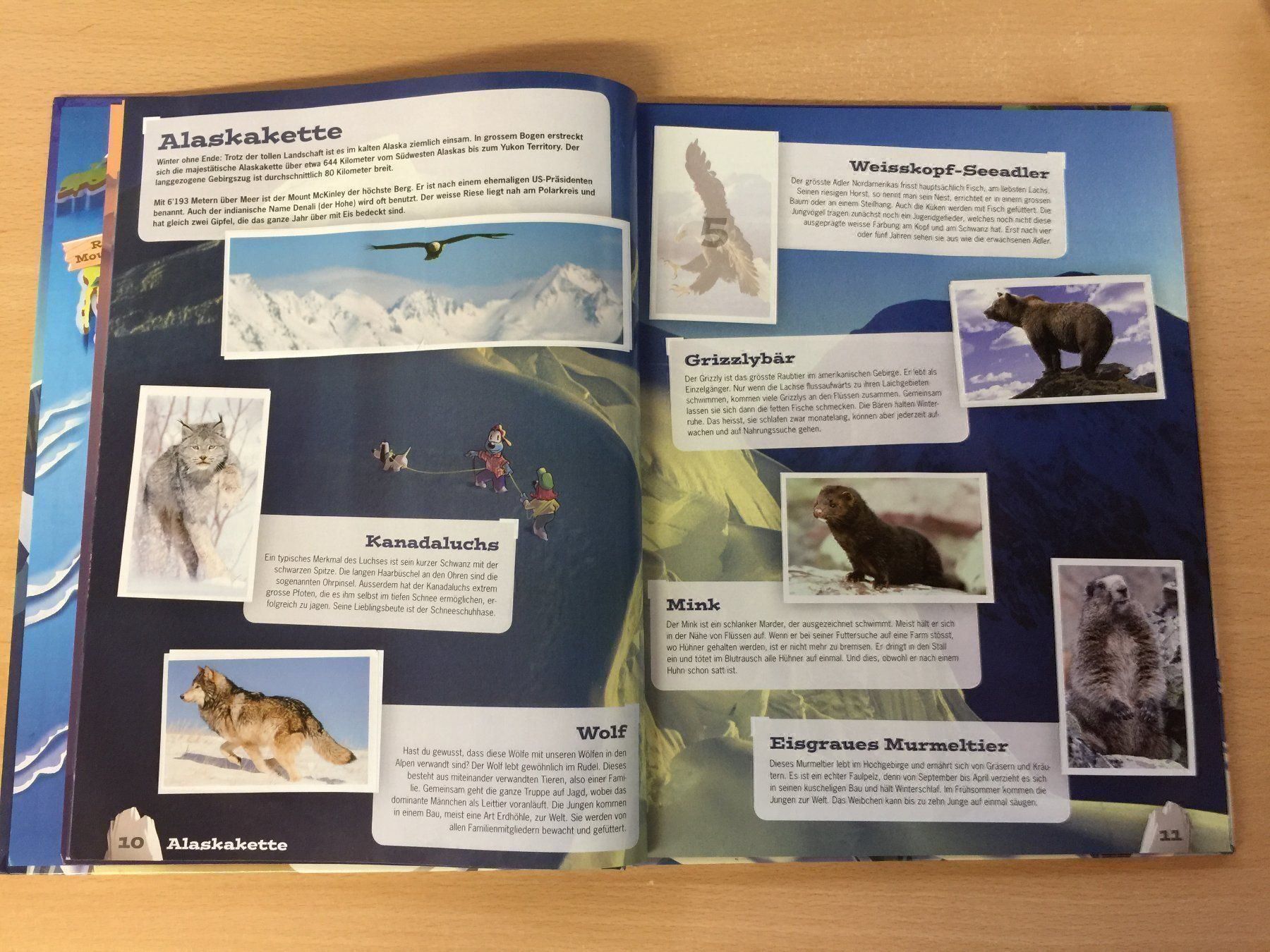 Libri: Mountainmania Abenteuer Bergwelt WWF – Usato da Glattfelden venduto da cybermaxx 2